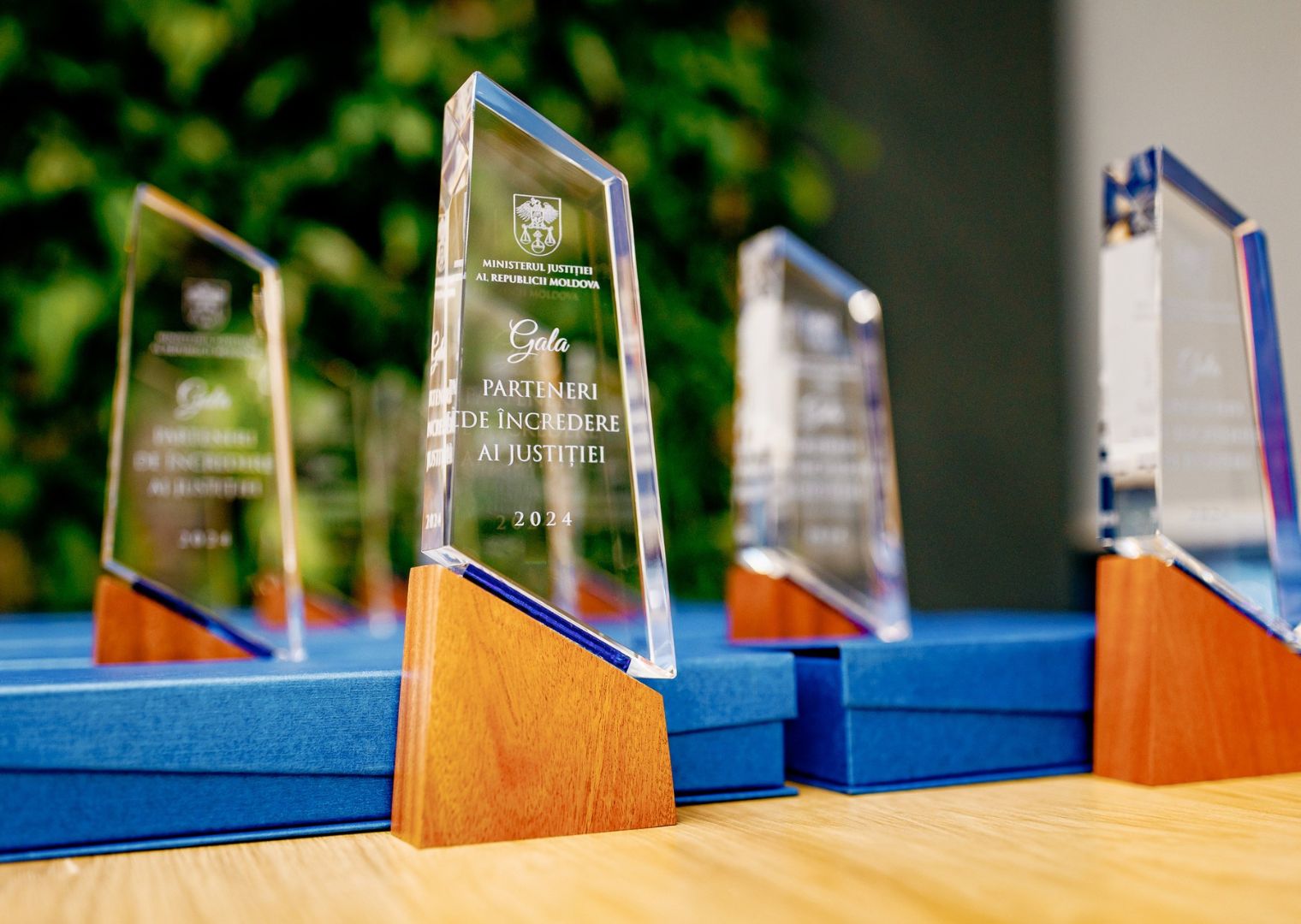 Fundația Regina Pacis distinsă cu premiul acordat de Ministerul Justiției la Gala „Parteneri de încredere ai justiției”